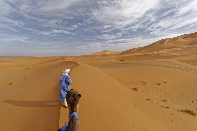 10-Day Morocco Tour from Casablanca via Sahara Desert & Chefchaouen - Fez, Volubilis, and Meknes: imperial cities with real structure