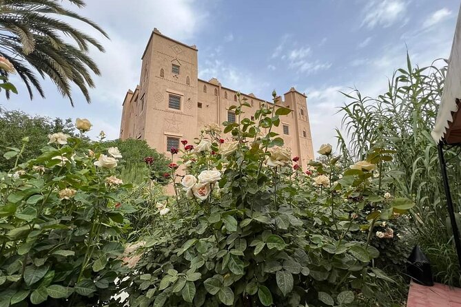 10 Days From Casablanca Luxury Tour - From Ifrane to Merzouga: Cedar forests, Ziz Valley, and desert clues