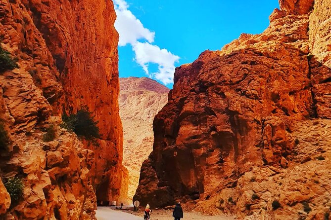 10 Days From Casablanca Luxury Tour - Todra Gorge and Dades Valley: highest gorges, narrow streets, and monkey toes