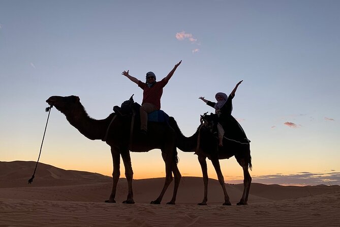10 Days from Casablanca: The Best of Morocco - Fes medina walking day: Al Karaouine, Tanneries, Mellah, and a fortress view