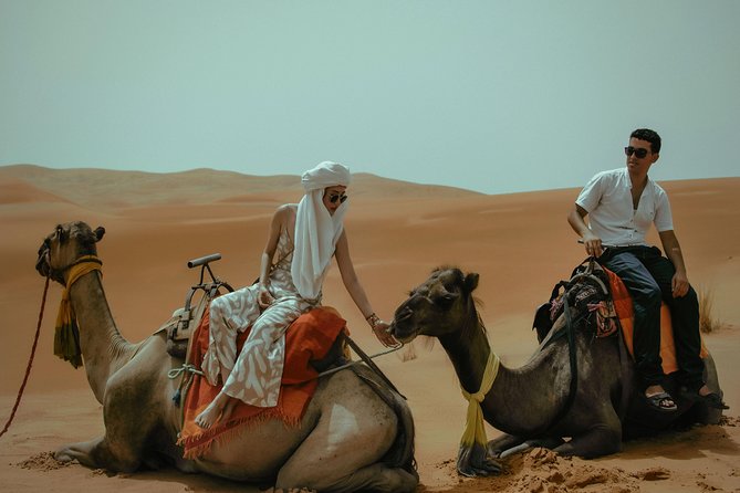 10 days Morocco tour from Casablanca - Marrakech’s Jardin Majorelle (Day 2): Art, Gardens, and a Villa You Can Walk Through