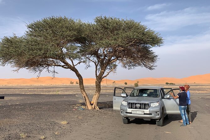 10 Days private Morocco tour from Marrakech - Day 2: Rabat, Meknès, and Volubilis in one purposeful day