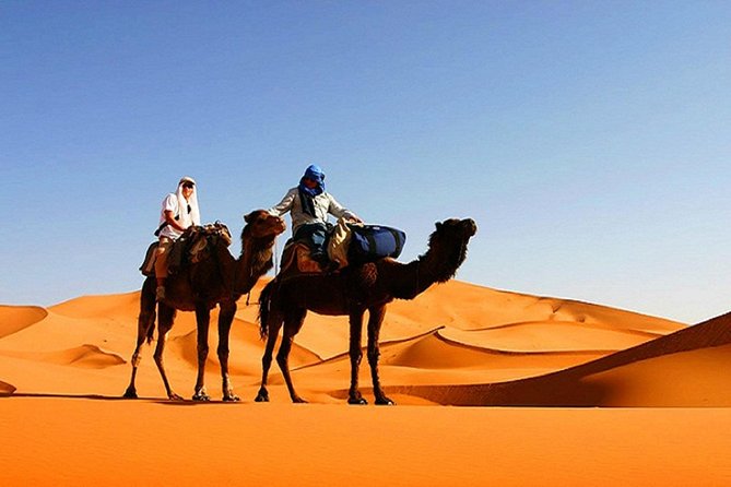 10 Days Tour From Casablanca, Morocco - Fez guided day: medina, Karaouine, and hands-on zellij