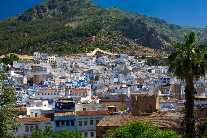 10 Days Tour from Casablanca to Marrakech via the Sahara Desert - Marrakech with a local guide: souks, palaces, and Djemaa el-Fna