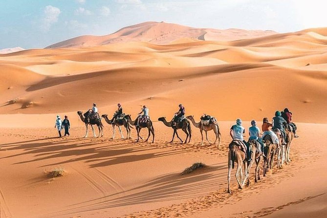 10D 9N Private Morocco Tour From Casablanca By Imperial Cities And South Desert - Marrakech Old Town: Bahia Palace, Saadian Tombs, Souks, and Garden Time