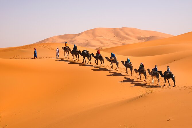 10D Morocco Tour From Tangier By Imperial Cities And South Desert - Volubilis and the Imperial Switch: Roman Mosaics to Meknes and Fes