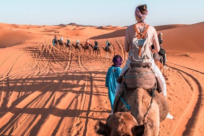 10Day Luxury From Casablanca to marrakech by Fes and Merzouga - Inside Fes with a local guide: Mellah, medersas, tanneries, and panoramic tomb views