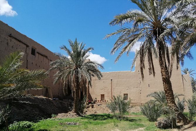 11 Days 10 Nights Ouzoud_Marrakech_Desert_Fez_Chouen_Casablanca - Day 2: Marrakech Arrival (Souk Time That Doesn’t Feel Rushed)