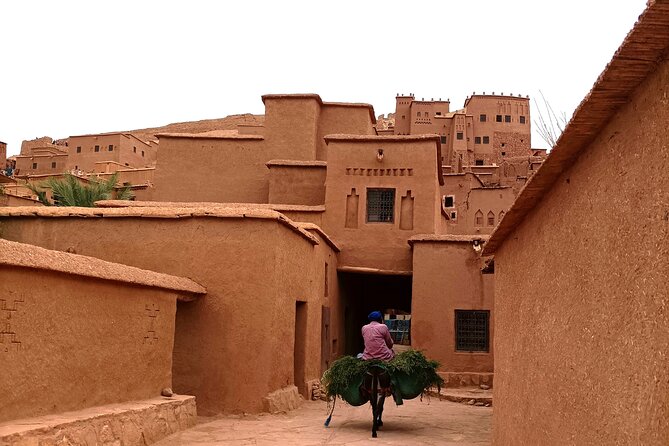 11 Days 10 Nights Ouzoud_Marrakech_Desert_Fez_Chouen_Casablanca - Day 4: Skoura Oasis, Pink Valley, Dades Gorges (Kasbah + Color Changes)