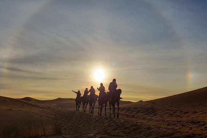 11 Days Adventurous Must-Do Morocco Cultural Tour from Casablanca - Ifrane, Ziz Valley dates, and Merzouga dunes: cedar forests to big-sky desert