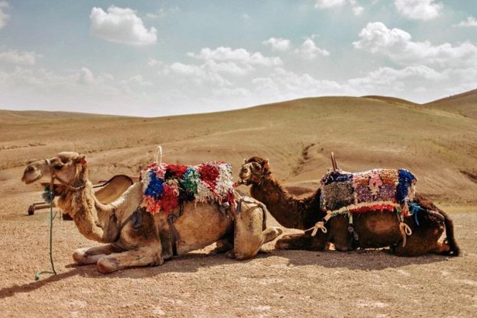 11 Days Morocco Epic Private Tour - Casablanca to Marrakesh via Chaouen & Desert - Fes el Bali orientation: learning the medina maze the easy way