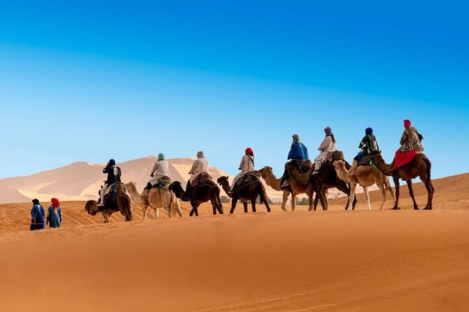 12 Day Morocco Discovery Private Tour - Key highlights to look for