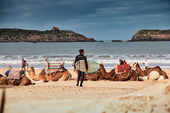 12 Day Morocco Discovery Private Tour - Volubilis, Meknes, and Fez: Roman ruins meet medieval learning