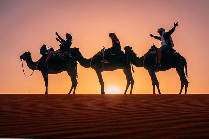 12 Days 11 Nights The best of Morocco (starts and end in Marrakesh) - Todra to Merzouga: gorges, fossils, and your first desert night