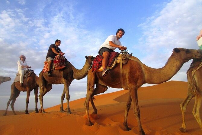 12 Days Private Luxury Sightseeing Tour in Morocco - Day-by-Day Breakdown: Casablanca to Fez (Days 1–3)