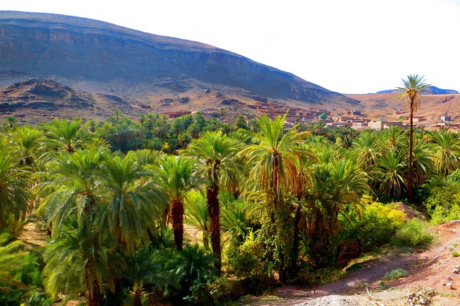 12 Days Private Tour in Morocco: Cities, Atlas and Desert - Safi, El Jadida, and Casablanca: three stops with different moods