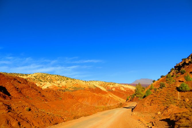 12 Days Private Tour in Morocco: Cities, Atlas and Desert - Essaouira and the Atlantic: argan, ramparts, and fresh fish vibes