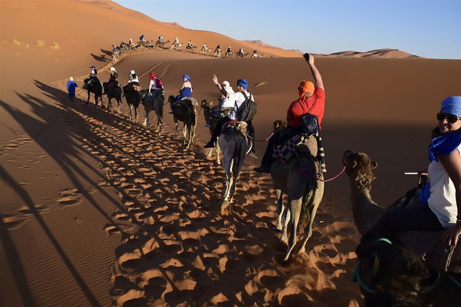 12 Days Tour to the Heart of Morocco - Day 3: High Atlas, Tizi-n-Tichka views, and Ait Benhaddou to Ouarzazate