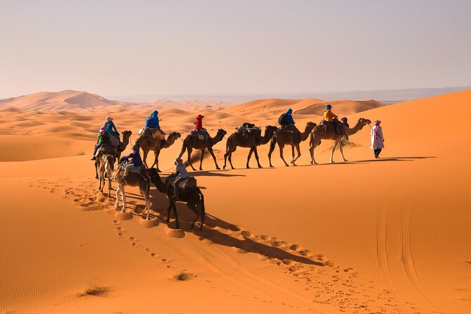 12D 11N Private Morocco Tour From Casablanca By Imperial Cities - Day 2 Rabat and Asilah: imperial ruins and Portuguese-era walls