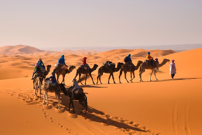 15 Days Morocco Private Grand Tour From North To South Starting From Casablanca - Volubilis Roman Ruins to Meknes and Fes: Layered Morocco Without Stress