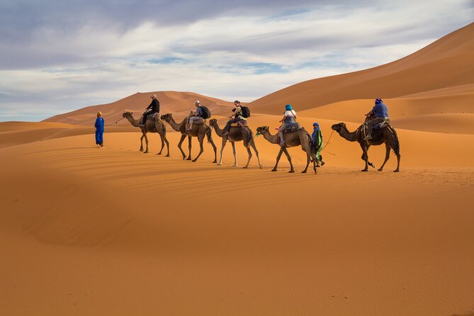 15 Days Morocco Private Grand Tour From North To South Starting From Casablanca - The Sahara Push via Ifrane, Azrou, and Ziz Valley: Comfort on a Long Road