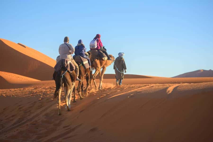 2-Day, 1-Night Desert Trip to Merzouga from Ouarzazate - Todra Gorges walk: where your legs earn the view