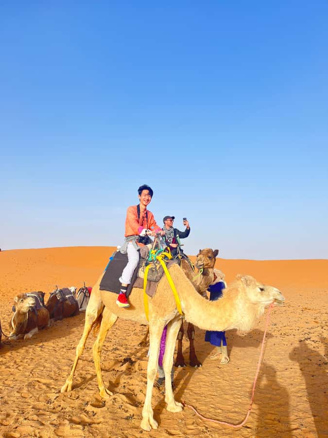 2-Day Desert tour from Fes to Fes/Marrakech wit Luxury Camp - The Middle Atlas stops: Ifrane, monkeys, Midelt, and Ziz Valley