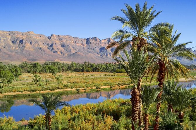 2-Day Desert Tour from Marrakech to Zagora Private & Luxury - Agdz and the caravan-route pause near the palm oasis