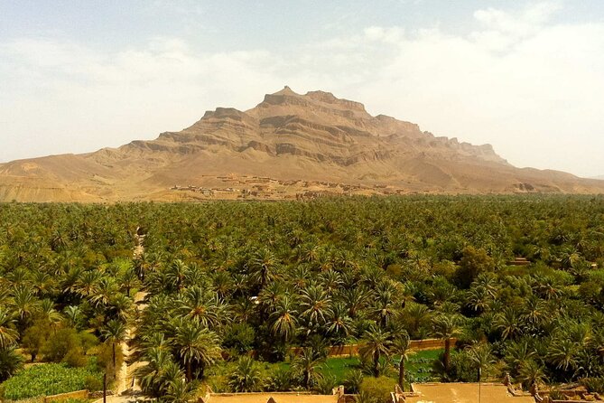 2-Day Desert Tour from Marrakech to Zagora Private & Luxury - Zagora arrival and the camel ride into camp