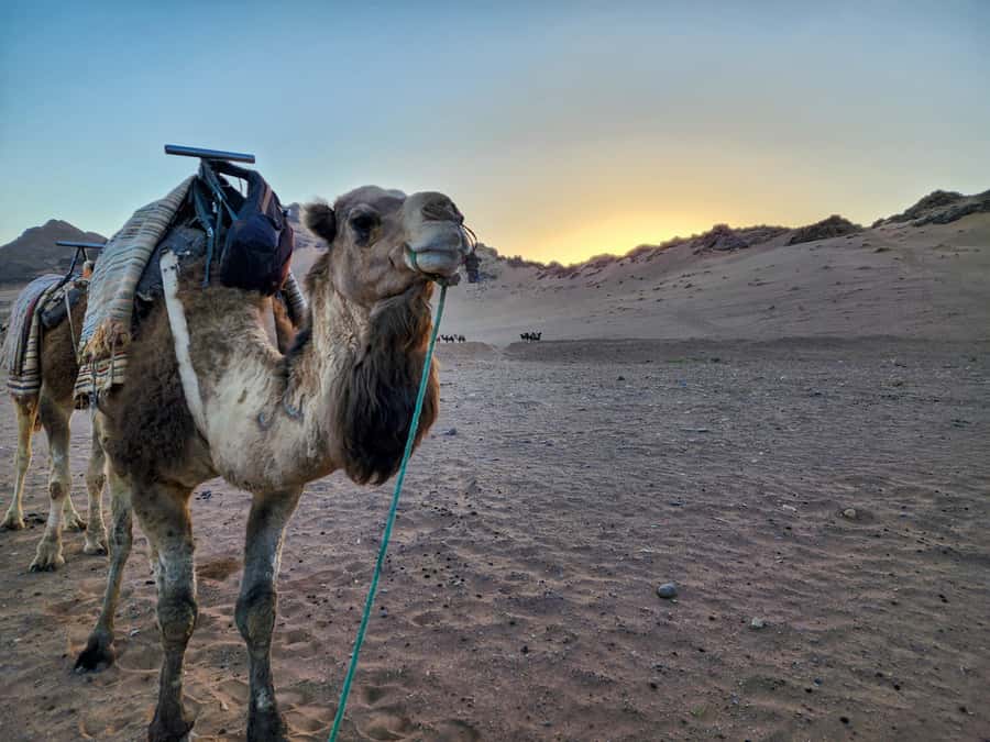 2-Day Excursion Marrakech to Ait Ben Haddou & Zagora Desert - Berber Camp Night in a Private Tent: Dinner, Music, and Showers