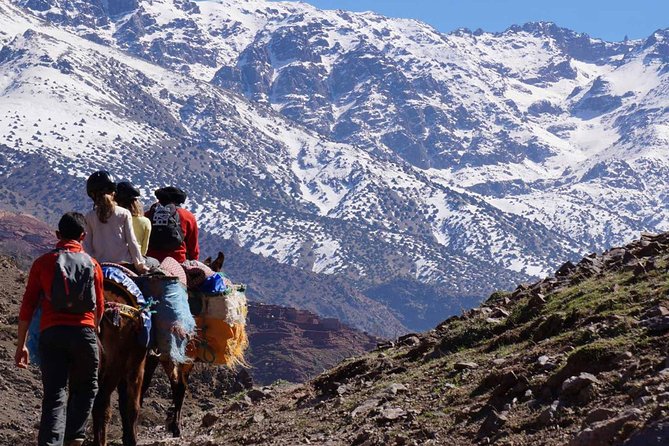 2- Day Guided Cultural Trek in the Atlas Mountains from Marrakech - Who should book this trek, and who should skip it