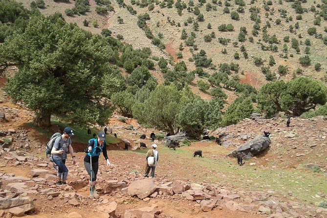 2-Day Guided Trek of the Atlas Mountains and Berber Villages - Guides, mule help, and why small groups feel better