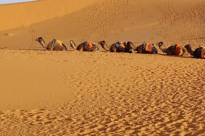 2 Day Luxury Desert Tour from Fes to Fes or Marrakech - The Return Drive: Rissani, Erfoud, Erfoud’s Fossil Marble, and Azrou Monkeys
