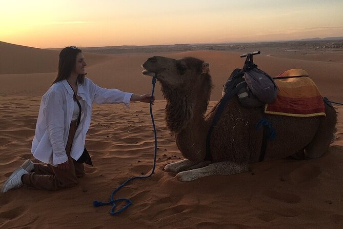 2 Day Luxury Desert Tour from Fes to Fes or Marrakech - What to Expect With the Driver and Group Size