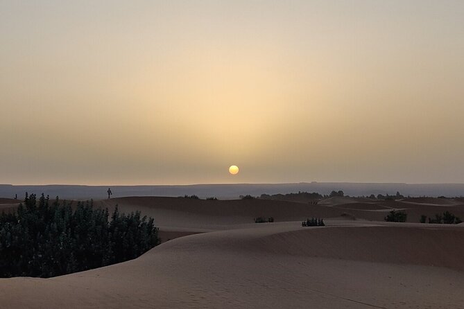 2 Day Luxury Desert Tour from Fes to Fes or Marrakech - Who This Tour Suits Best (and Who Should Skip It)