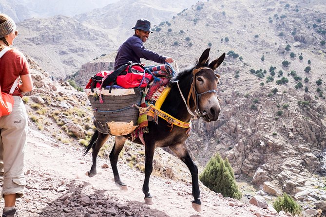 2 day mount toubkal trek ( private trek ) - Two Days, One Big Summit: What This Private Toubkal Trek Really Feels Like