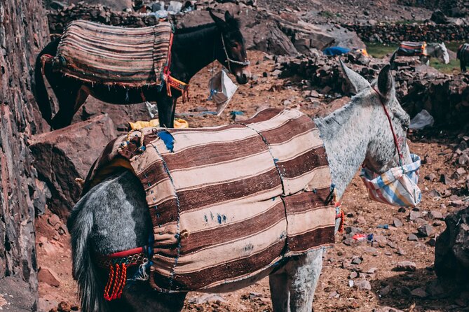 2 day mount toubkal trek ( private trek ) - Price and Logistics: Is $174.47 Good Value?
