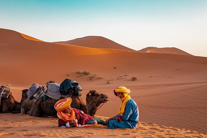 2 Day Private Fez Desert Tour to Merzouga - Cedar Goro: feeding monkeys and chasing silly photos