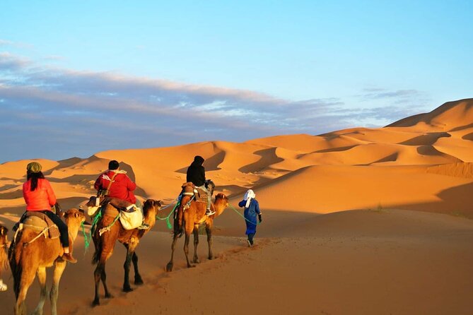 2 Day Private Fez Desert Tour to Merzouga - The 800-year-old tree: a calm pause in an active day
