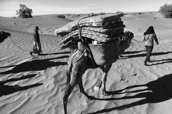 2-Day Private Tour to the Heart of the Chegaga Dunes - Why Chegaga feels like the heart of the Sahara