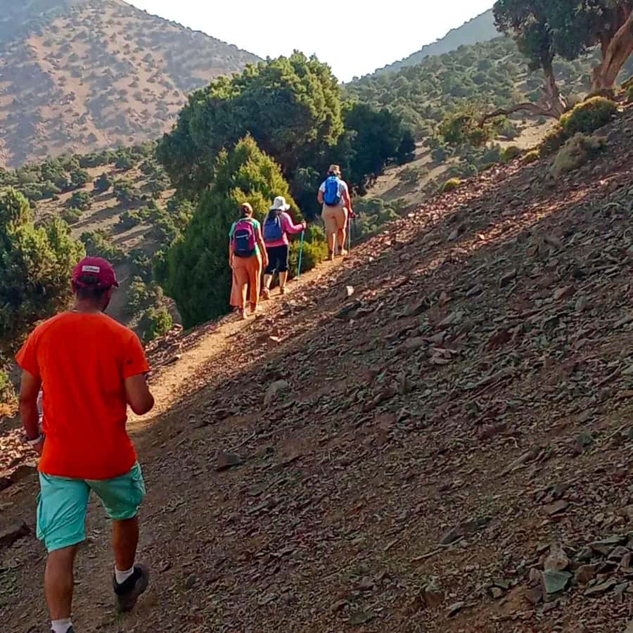 2-Day Trek, Berber Villages, and Stay in Azzaden Valley - Getting from Marrakech into the High Atlas without the stress