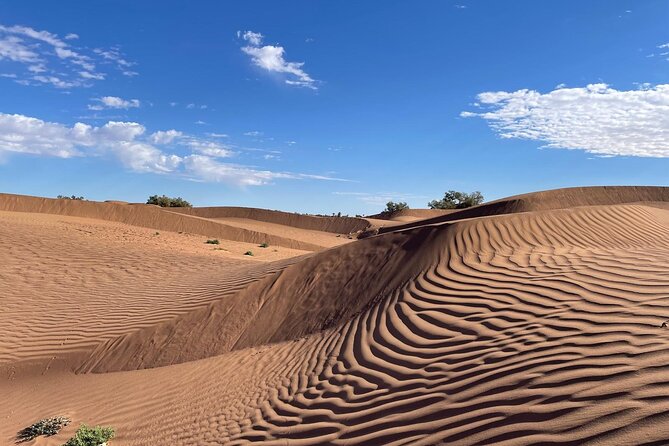 2-day trek - In the footsteps of beetles - Key points that matter before you go
