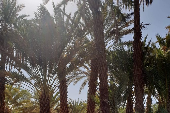 2-Day Zagora Desert Trip from Marrakech - What to pack for Zagora: you’re sleeping warm, moving early, and riding by camel