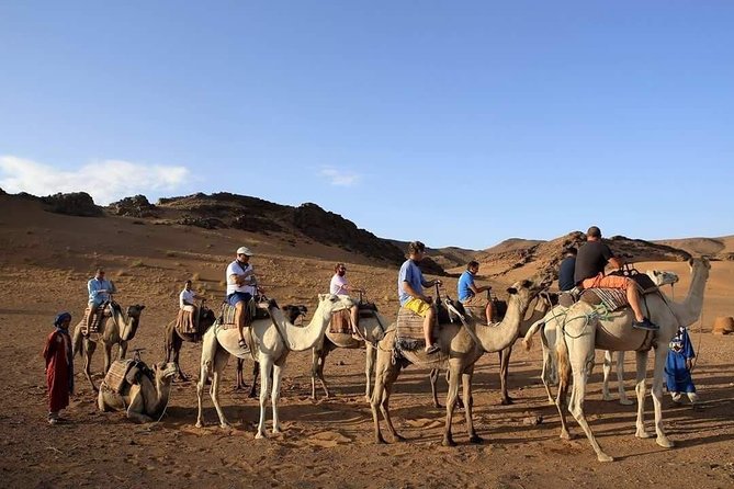 2-Day Zagora Tour from Marrakech Including the Atlas Mountains, Camel Trek and Desert Camp - High Atlas Road Trip: Tizi-n-Tichka Pass and Berber Village Stops
