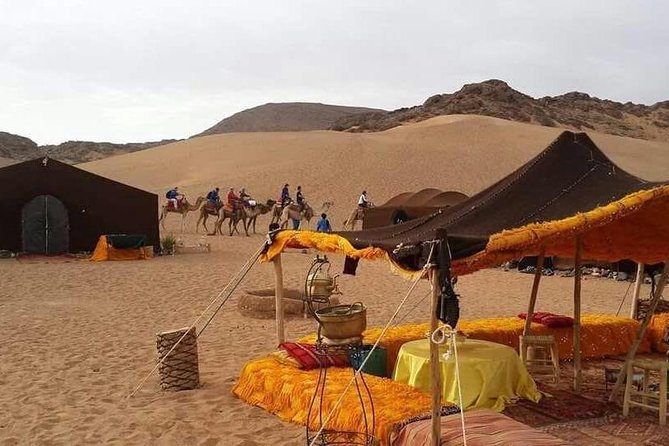 2-Day Zagora Tour from Marrakech Including the Atlas Mountains, Camel Trek and Desert Camp - Ouarzazate and Taourirte Kasbah: Where Trading Routes Meet Daily Life
