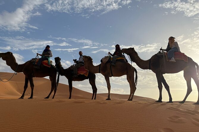 2 Days 1 Night Adventure from Marrakech to Fes via Desert - Who This Trip Suits Best (And Who Might Want Something Different)