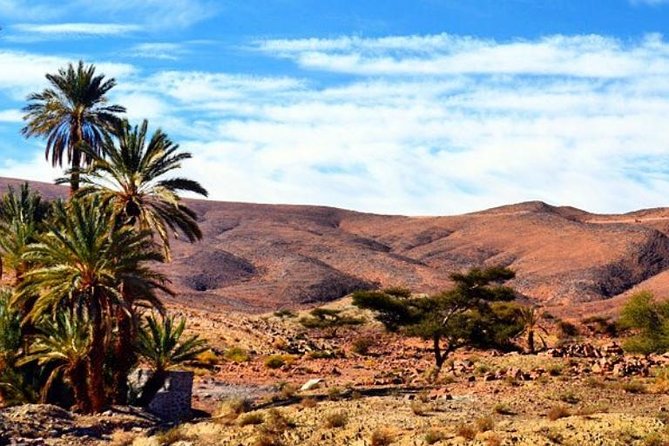 2 Days 1 Night Amazing Zagora Desert Tour From Marrakech - Taddart Coffee Stop: Quick Fuel and Instant Mountain Views