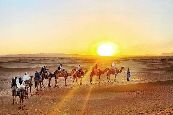 2 Days 1 Night Amazing Zagora Desert Tour From Marrakech - Zagora at Dusk: Camel Sunset and the Berber Tent Night