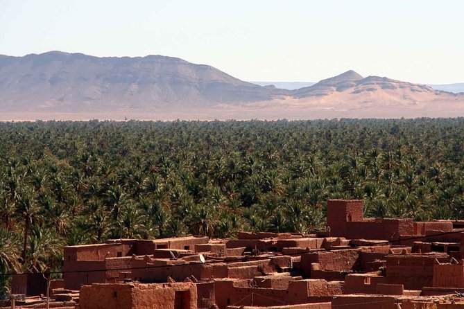2 Days 1 Night Amazing Zagora Desert Tour From Marrakech - Price and Logistics: Where the Real Value Lies