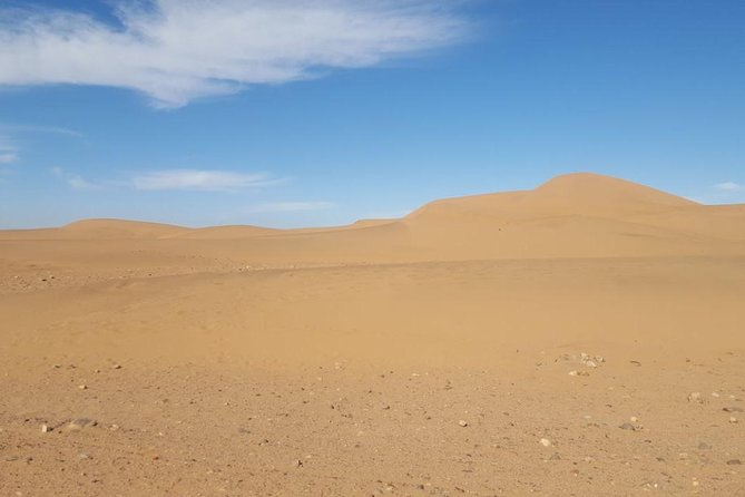 2 Days 1 Night Desert Tour from Marrakech to the desert of Tinfou Zagora - Price and value: where $294.51 works (and where you’ll spend extra)